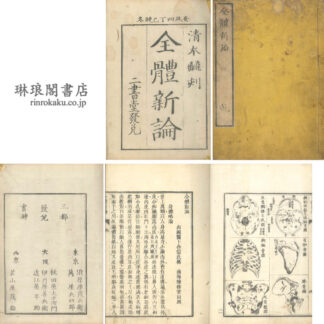 全体新論