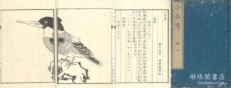 小品考