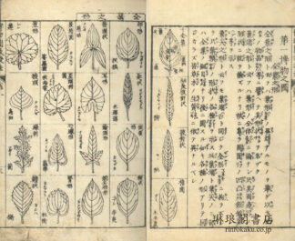 博物図教授法
